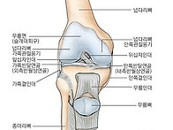 십자인대파열 국가유공자 ..