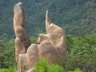 삼성산의 바위와 소나무