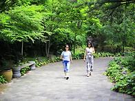 제주도 여행 - 단체