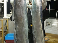 6월18일 출조 개인 사진입..