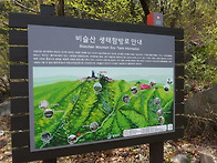 비슬산3