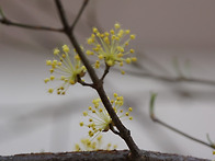 2016.04.01 아이파크에 핀..