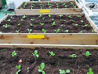 2013학년도 다양한 활동들..