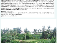 실랑의 명품 골프..