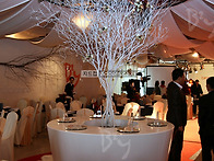 런칭행사,브랜드 런칭,런칭..