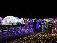 울산 대공원 빛 축제!!