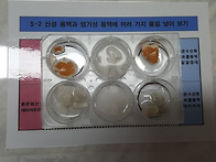 산과 염기-산성용..