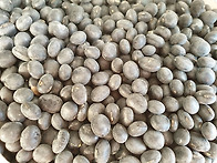 2019년 9월19일 과제입니다