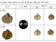 1월의 보존처리 ..