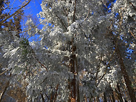 한라산