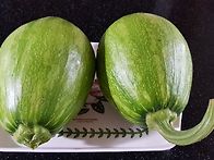 애동호박을 보니 어릴적 ..