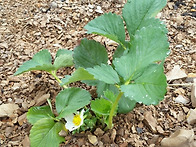 3/30 풍경