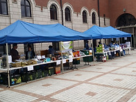 서울교구 가락동성당 생명..