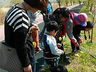 자연생태학교