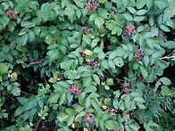 지금 산적에 무슨일이?