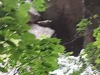 성