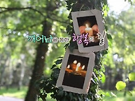 KNN 마음의 산책 - 깨어남..