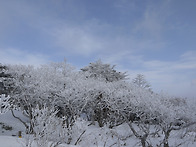 수요 덕유산 잔여..