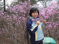 진달래~여인네