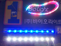 바이오LED