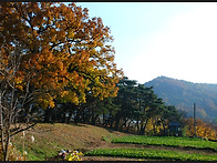 외암리 마을(아산..