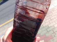 Cashew nut shell oil (CNSL) 20..