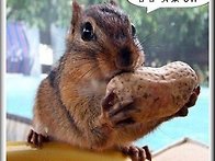 과유불급 [過猶不..