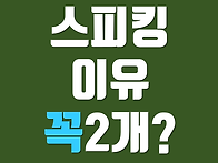 [스피킹] 독립형 이유가 ..
