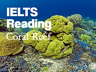 IELTS Reading (아이엘..