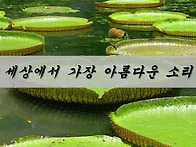 [좋은글] 세상에서 가장 ..