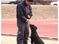 2010.1.31
