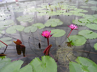 봄내음을 나누어요...