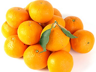 저농약 청견오렌지