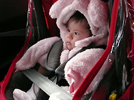 Sophie 6개월^^