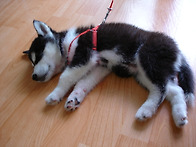 설피 생각 나는 학생들 있..