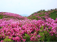 82차 5월25일 지리산 바래..