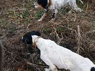 밴 아들 레리 월리아들 마..