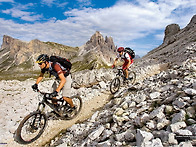 운동의 중요성 참고자료