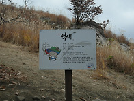 11/1(토) 명성산 산행사진..