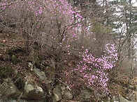 지연우님 파주 감악산 (4..