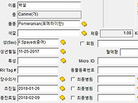 내림결장 하부와 직장 단락(결잘과 직장 문..