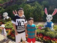 대전 유성 국화축제