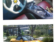 넘 이뻣던 노랑이