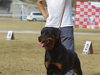 2011.10월 클럽전