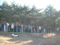 묘제사진(2005년11월20일..