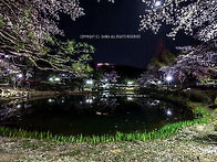 경주 보문정 야경