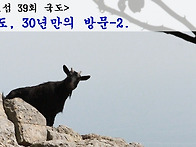 ＜통.섬 39회＞ 국도, 3..