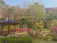 블루 속 무릉도원~