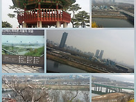 응봉산의 봄