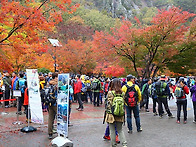 강천산